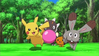 xy (51)