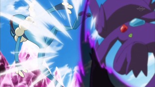 xy (43)
