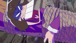 cap (225)