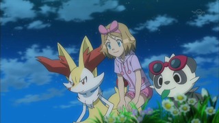 xy (115)