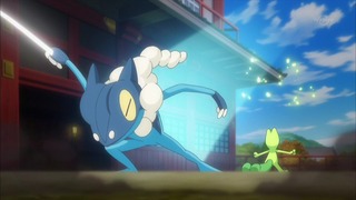 xy (60)