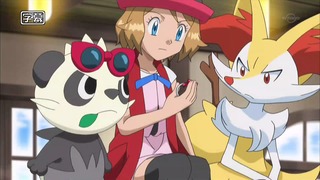 xy (1)