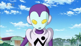 cap (27)