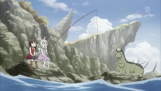 cap (13)