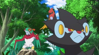 xy (33)