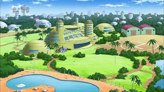 cap (16)