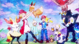 xy (204)