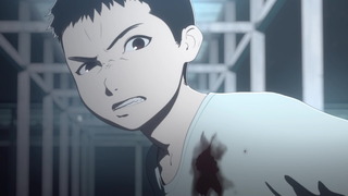 cap (116)