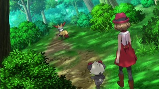 xy (53)