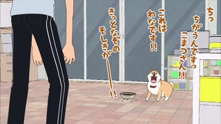 muco (56)
