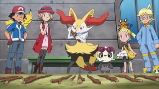 xy (33)