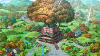 xy (13)