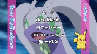 xy (13)