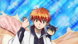 rin (19)