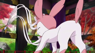 xy (46)