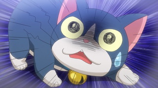 cap (269)
