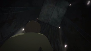 cap (132)