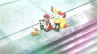 xy (162)