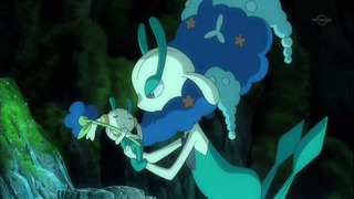 xy (22)