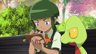 xy (43)
