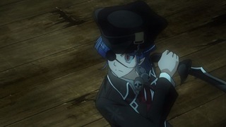 cap (113)