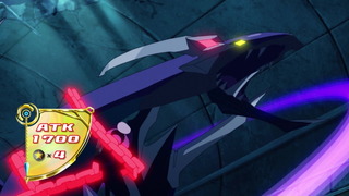 cap (19)