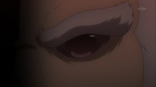 cap (314)