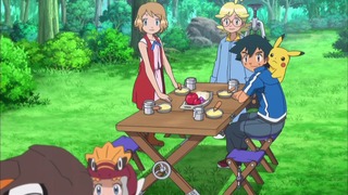 xy (41)
