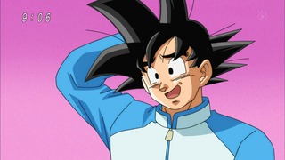 cap (17)