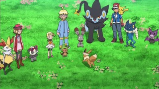 xy (196)