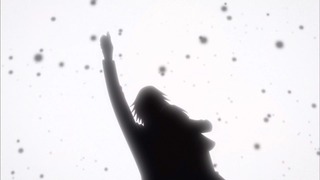 kin (81)