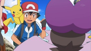 xy (14)