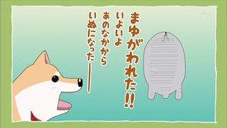 muco (45)