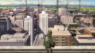 cap (229)