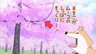 muco (43)