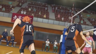 cap (47)