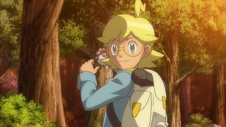 xy (219)