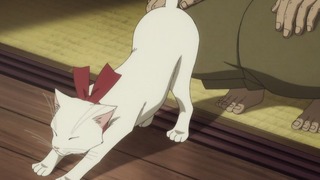 cap (21)