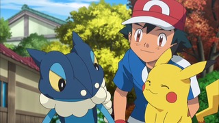 xy (177)