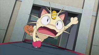 xy (92)