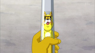 cap (19)
