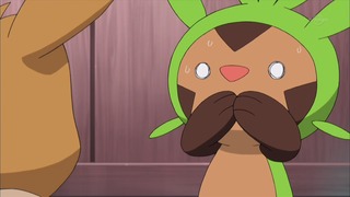 xy (101)