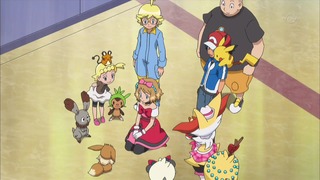 xy (143)