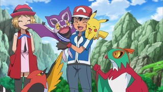 xy (157)