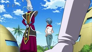 cap (26)