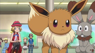 xy (102)