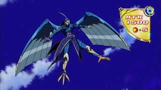 cap (238)