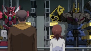 cap (27)