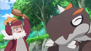 xy (96)
