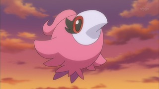 xy (127)